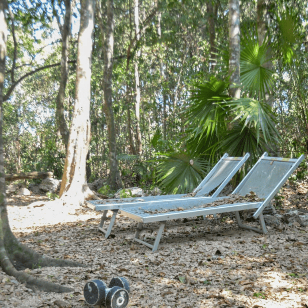 Cabañas En Medio De La Selva De Bacalar